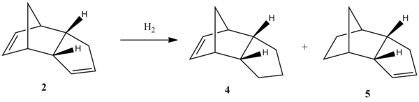 Possible Products of Endo Dicyclopentadiene Hydrogenation