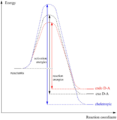 Thumbnail for version as of 14:01, 26 January 2017