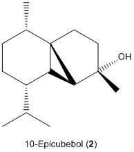 File:Ceg09Epicubebol.bmp