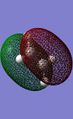 Thumbnail for version as of 20:52, 25 October 2012