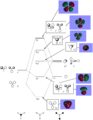 Thumbnail for version as of 15:46, 14 October 2013