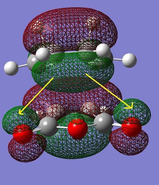File:Endo HOMO-1 hr610.jpg