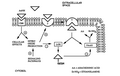 Thumbnail for version as of 14:49, 26 October 2006