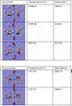 Thumbnail for version as of 15:17, 7 November 2008