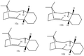 Thumbnail for version as of 21:35, 18 October 2011