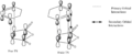 Thumbnail for version as of 17:47, 17 February 2011