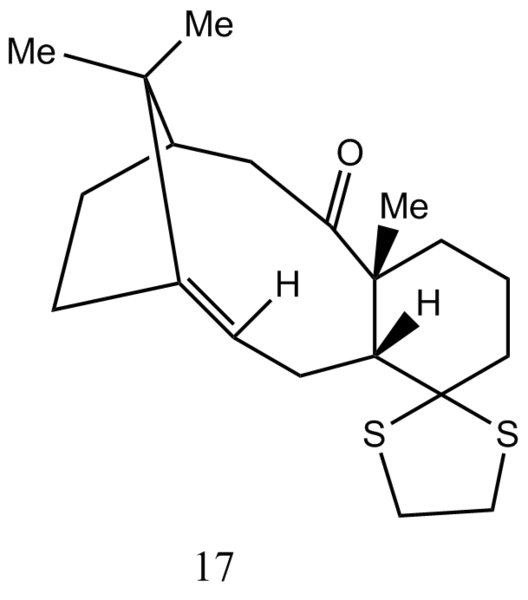 File:17 wiki.png