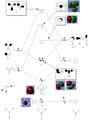 Thumbnail for version as of 14:54, 10 October 2013