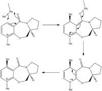 Reaction Mechanism