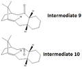 Thumbnail for version as of 19:16, 21 October 2010