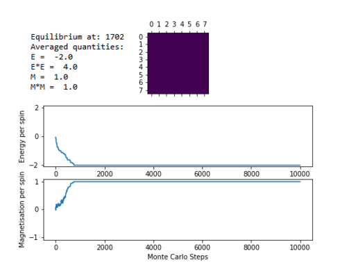 8x8 Lattice at a temperature of 0.01 for 10000 Monte Carlo Steps.