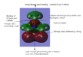 Thumbnail for version as of 22:52, 30 January 2014