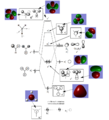 Thumbnail for version as of 15:35, 8 May 2019