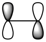 cell