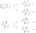 Thumbnail for version as of 18:15, 21 January 2011