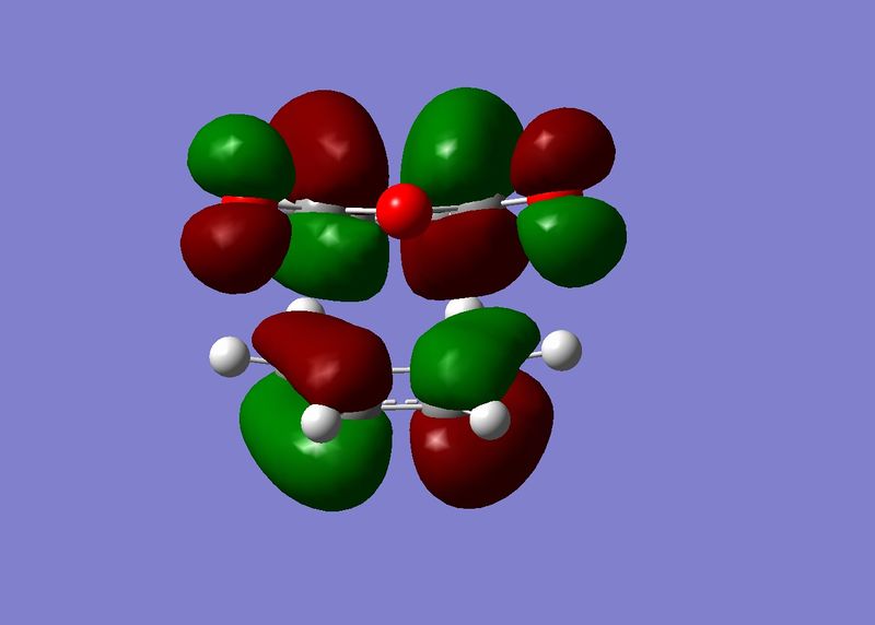 File:HOMO -1 endo alex.jpg