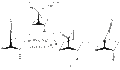 Thumbnail for version as of 15:13, 24 January 2012