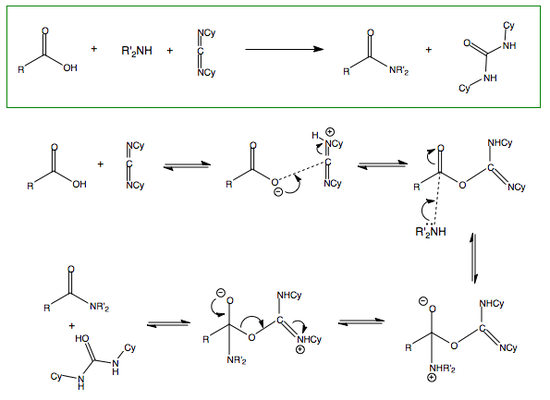 Amide synthesis using DCC