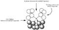 Thumbnail for version as of 19:33, 29 September 2012
