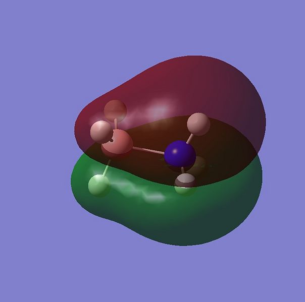 File:HOMO-4abtom.jpg