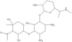 Gentamycin A