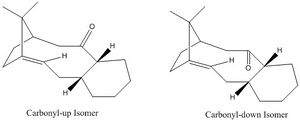 Isomers of a taxol intermediate