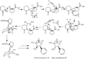 Thumbnail for version as of 14:40, 25 January 2011