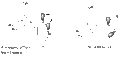 Thumbnail for version as of 14:02, 27 January 2012