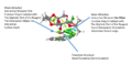 Thumbnail for version as of 17:59, 13 March 2015