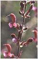 Thumbnail for version as of 09:35, 23 November 2006