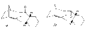 Thumbnail for version as of 11:11, 20 January 2011