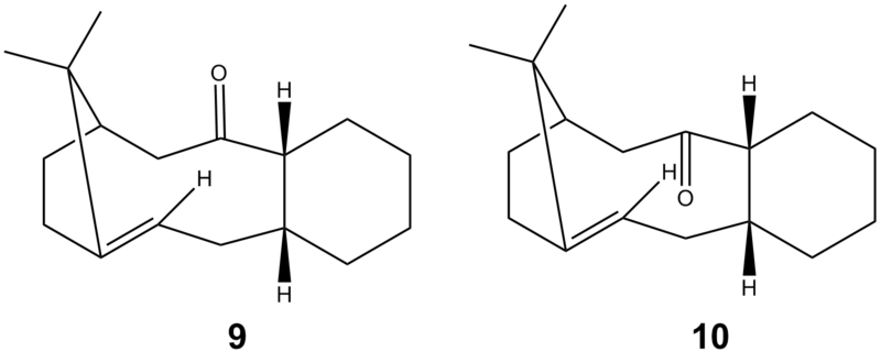 File:NFoverview (2).png