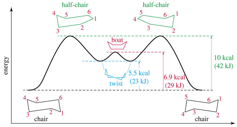 File:AM Cyclohexane conformers.jpg