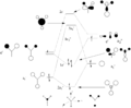 Thumbnail for version as of 16:15, 19 November 2013