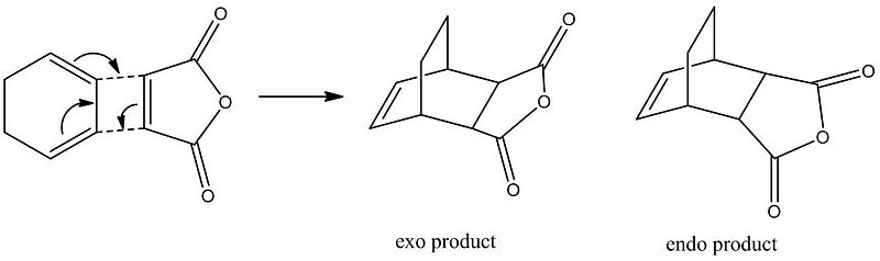 File:Jlm exo endo rxn.jpg