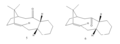 Thumbnail for version as of 16:47, 27 November 2013