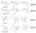 Thumbnail for version as of 02:38, 7 December 2012