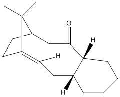 File:Roguetaxolup.bmp