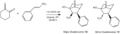 Thumbnail for version as of 15:45, 20 January 2011