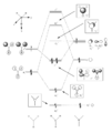 Thumbnail for version as of 14:30, 20 November 2012