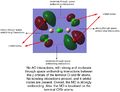 Thumbnail for version as of 16:37, 29 January 2014