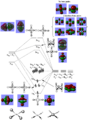 Thumbnail for version as of 13:55, 1 November 2011
