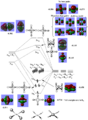 Thumbnail for version as of 22:33, 3 November 2011