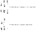 Thumbnail for version as of 12:58, 29 January 2011