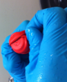Thumbnail for version as of 21:30, 20 February 2014