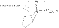 Thumbnail for version as of 18:49, 31 January 2009