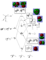 Thumbnail for version as of 16:49, 14 November 2014