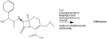 Thumbnail for version as of 17:00, 6 December 2007