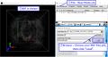 Thumbnail for version as of 17:50, 7 March 2018
