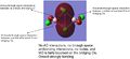 Thumbnail for version as of 15:28, 29 January 2014
